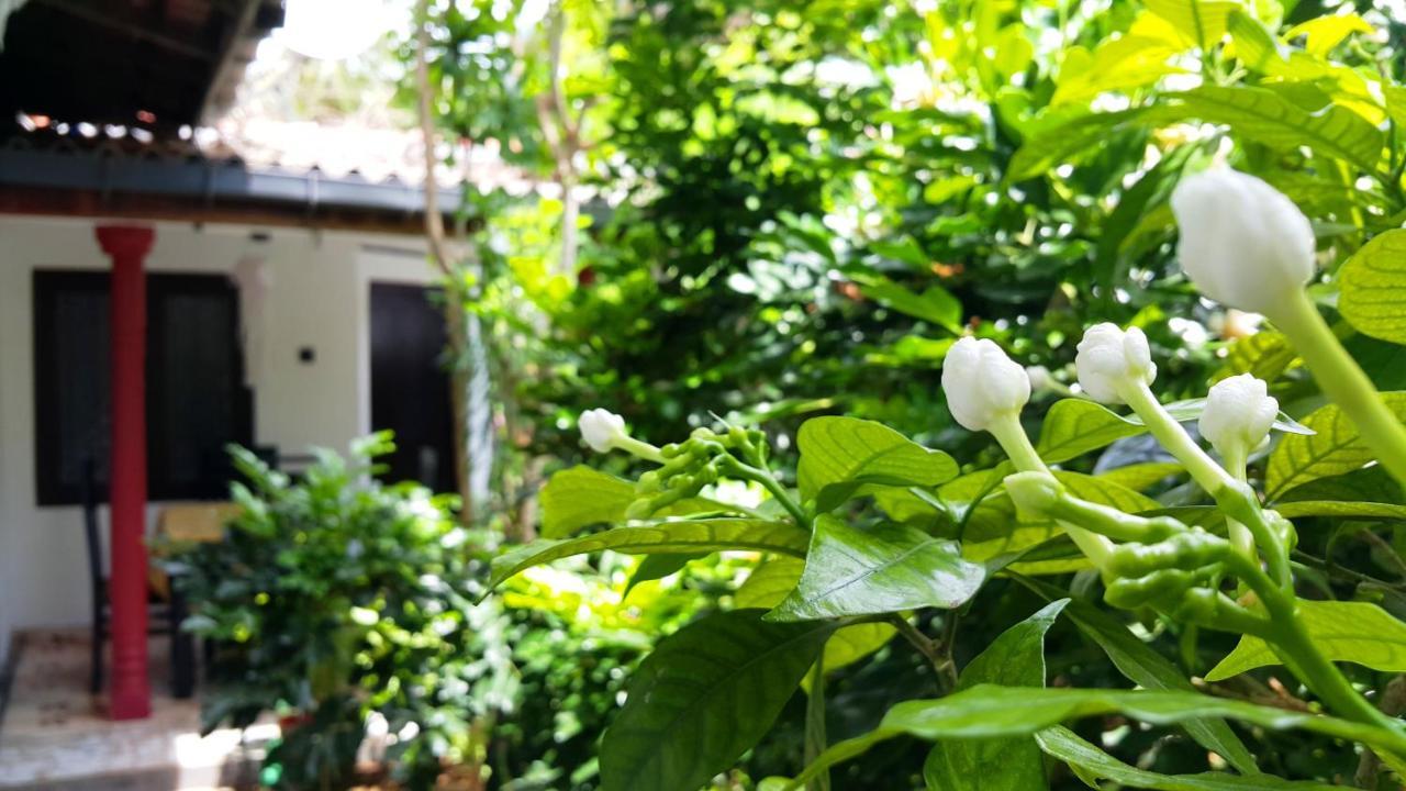 Green Garden Guest Mirissa Exterior photo